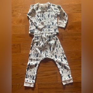 Organic pine trees set